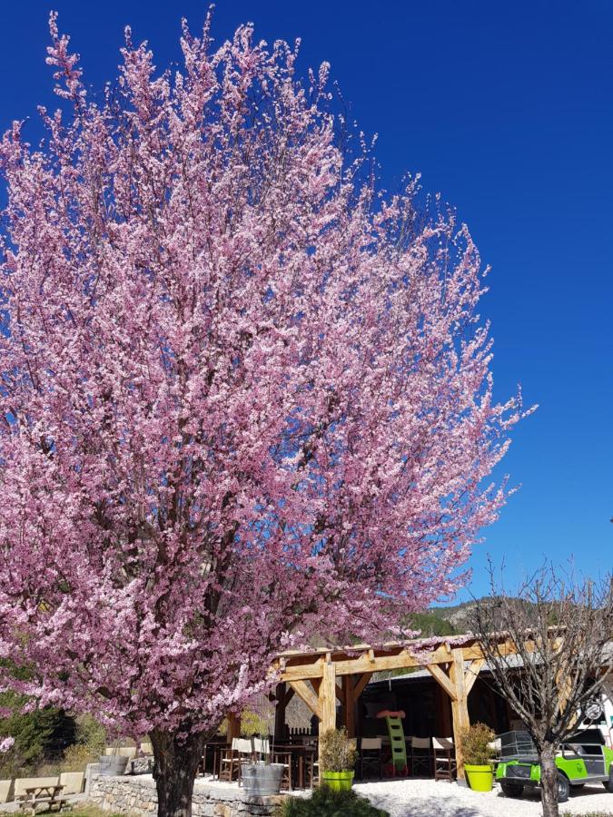 Camping Calme Et Nature Castellane Kültér fotó